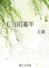 [三国]嘉年封面