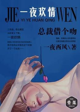一夜欢情：总裁借个吻封面