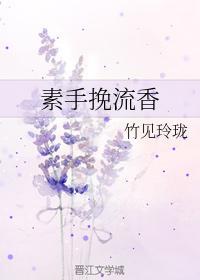 素手挽流香封面