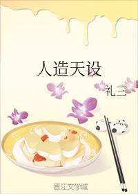 人造天设封面