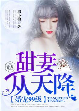 婚宠99级，甜妻从天降封面