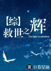 [综]救世之辉封面