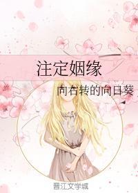 註定姻缘封面