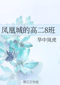 凤凰城的高二8班封面
