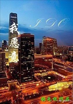 我愿意封面