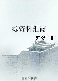 综资料洩露封面