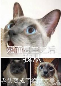 死而覆生之后我从老头变成了绝世大美人封面