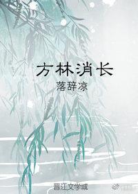 方林消长封面