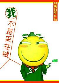 我真不是采花贼！gl封面