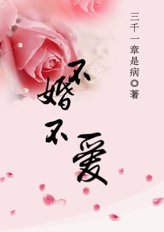 不婚不爱封面