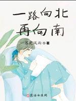 一路向北再向南封面