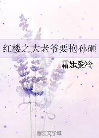 红楼之大老爷要抱孙砸封面