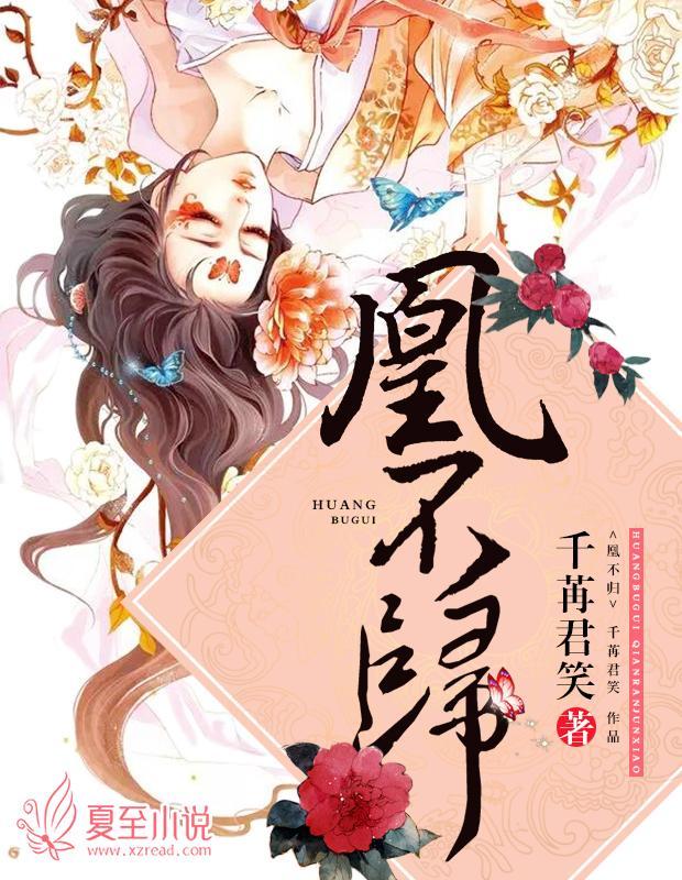 凰不归封面