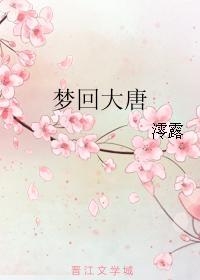梦回大唐封面