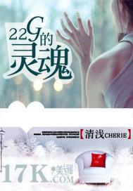 22g的灵魂封面
