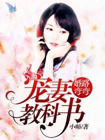 婚路弯弯：宠妻教科书封面