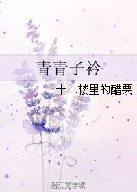 青青子衿封面