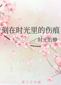 刻在时光裏的伤痕封面