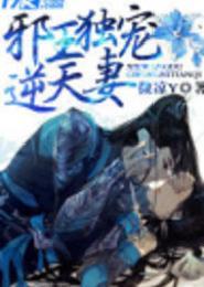 邪王独宠淡定妃封面