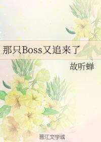 那只Boss又追来了封面