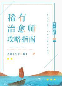 稀有治愈师攻略指南封面