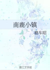 南鹿小镇封面