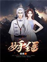 妙手圣医封面