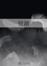 镜湖封面