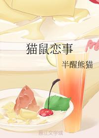 猫鼠恋事封面