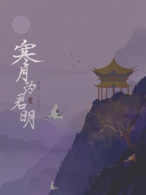 寒月为君明封面