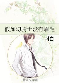 假如幻骑士没有眉毛封面
