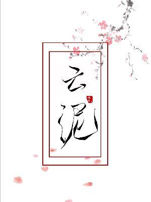 云泥封面