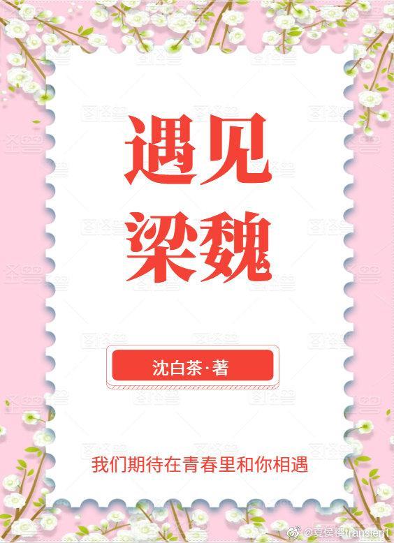 遇见梁魏封面