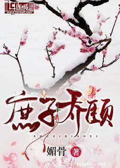 庶子乔颐封面
