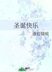 圣诞快乐封面