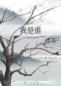 我是谁封面