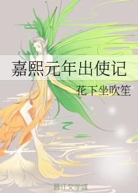 嘉熙元年出使记封面