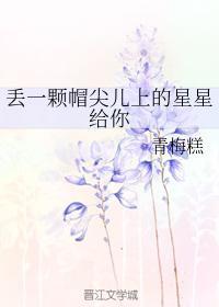 丢一颗帽尖儿上的星星给你封面