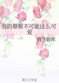 我的蔡蔡不可能这么可爱封面
