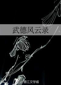 武德风云录封面