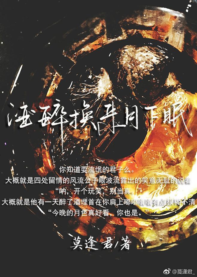 酒醉换来月下眠封面