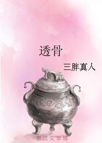 透骨封面