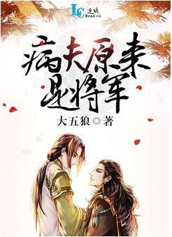 病夫原来是将军封面