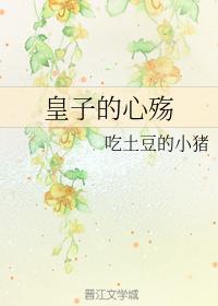 皇子的心殇封面