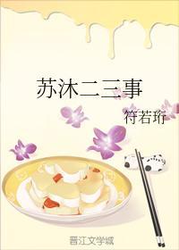 苏沐二三事封面