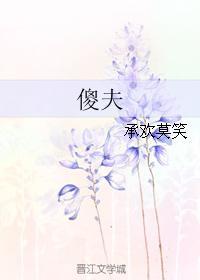 傻夫封面