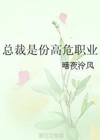 总裁是份高危职业封面
