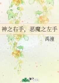 神之右手，恶魔之左手封面