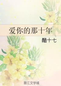 爱你的那十年封面