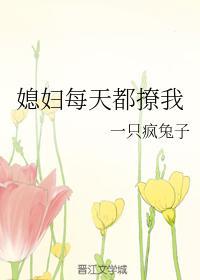 媳妇每天都撩我封面
